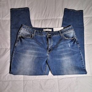 cato plus size jeggings